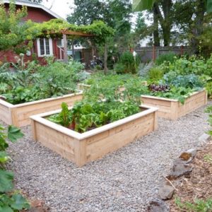 $200 donation~Provides the materials to build a raised vegetable bed to grow food for the communal kitchen.